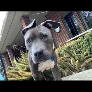 Meet your Posher, Paula